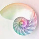 PageLines- snail.jpg